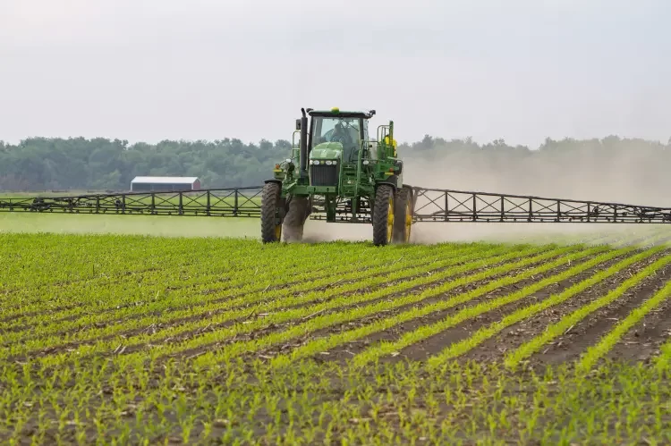 Cropped Corn Early Spraying 201906 07 Edit.jpg 2