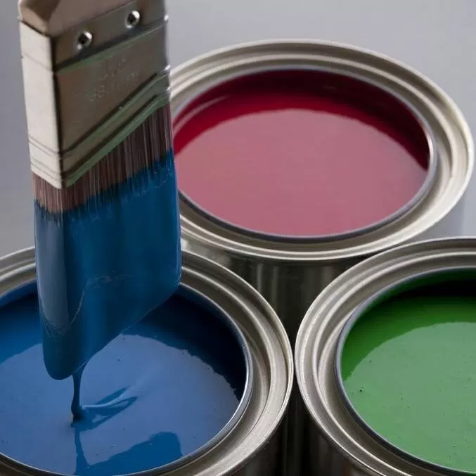 Cropped 292969138 570247301245357 497227407528906519 N