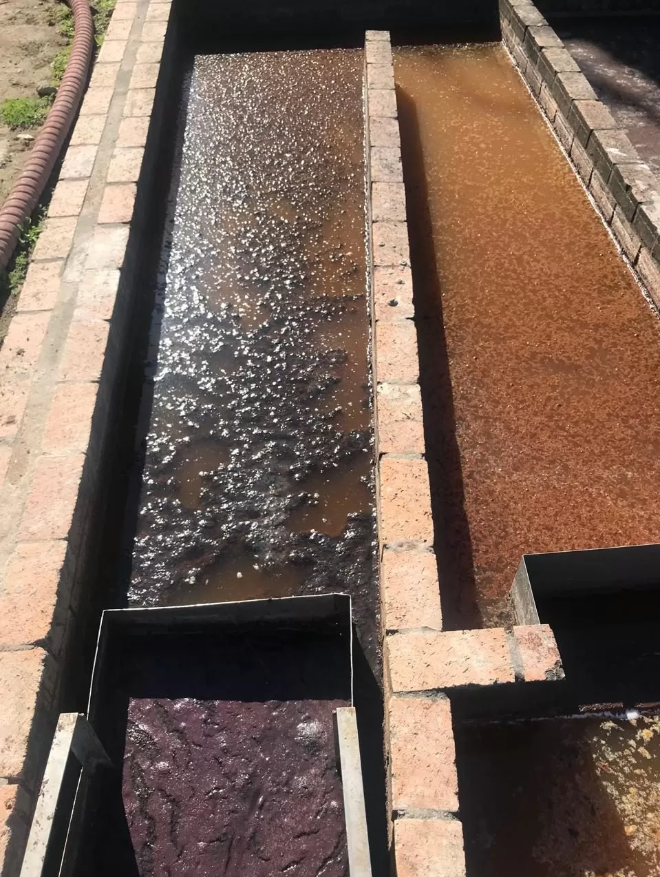 Cropped WhatsApp Image 2024 06 04 At 14.47.53 2