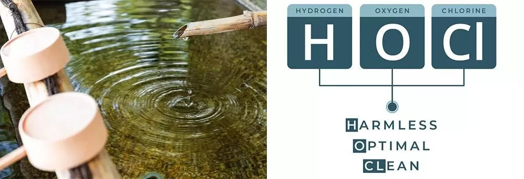 Cropped WhatsApp Image 2024 07 09 At 14.09.16